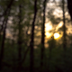 Image for article titled Shooting Challenge: Golden Hour Gallery 2